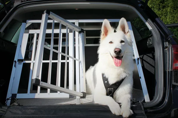 Accessoires de transport du chien en voiture